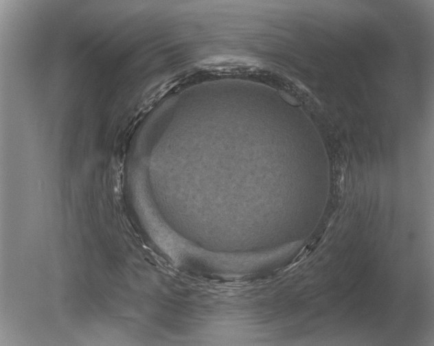 X0000078870965200611131213
