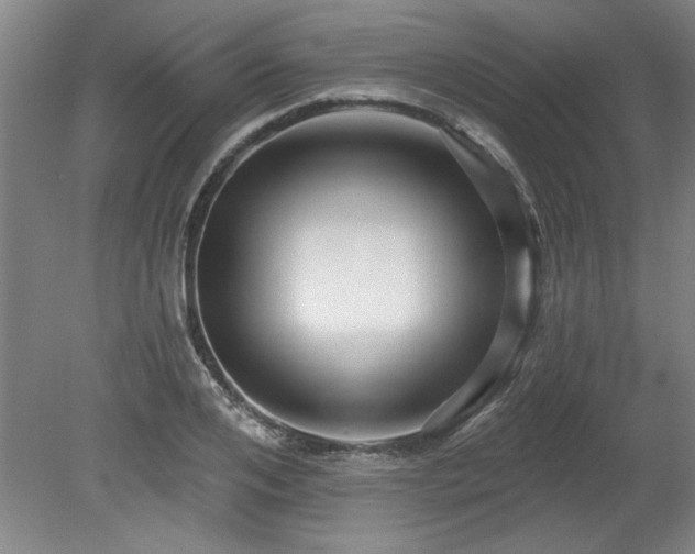 X0000078870984200611131212