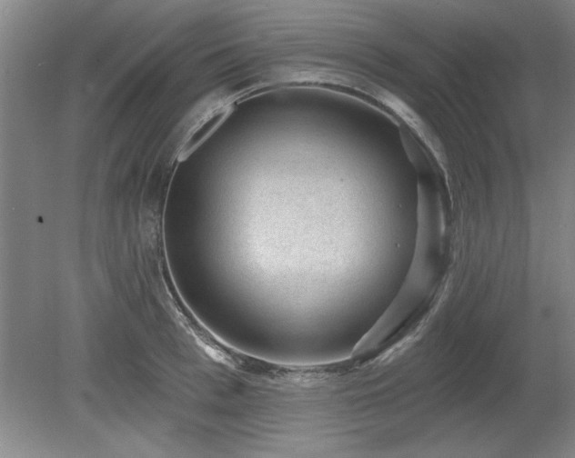 X0000078870993200611131212