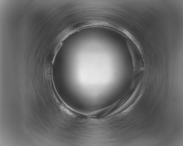 X0000078871001200611131212