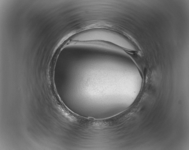 X0000078871026200611131211