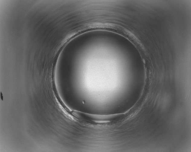 X0000078871033200611131211