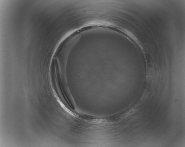 X0000078871037200611131212