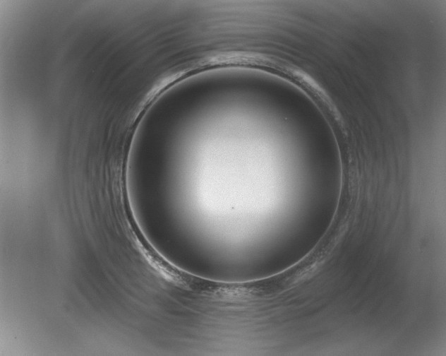 X0000078871041200611131212