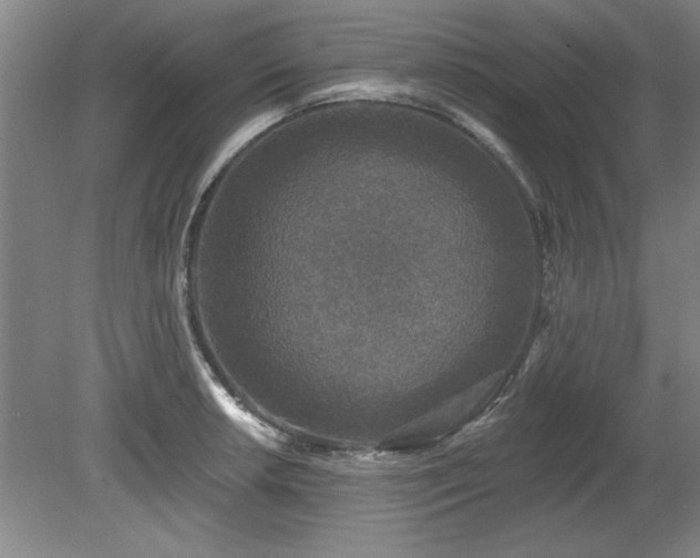 X0000078871042200611131212