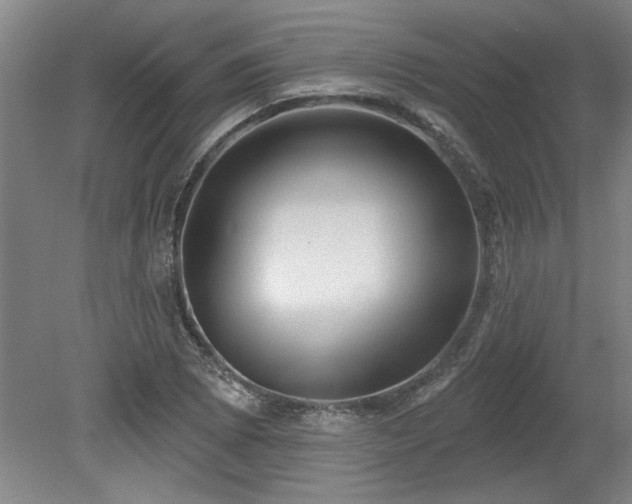 X0000078871073200611131211