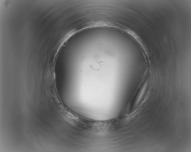 X0000078871097200611131210
