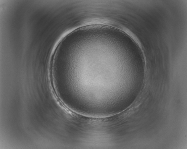 X0000078871104200611131210