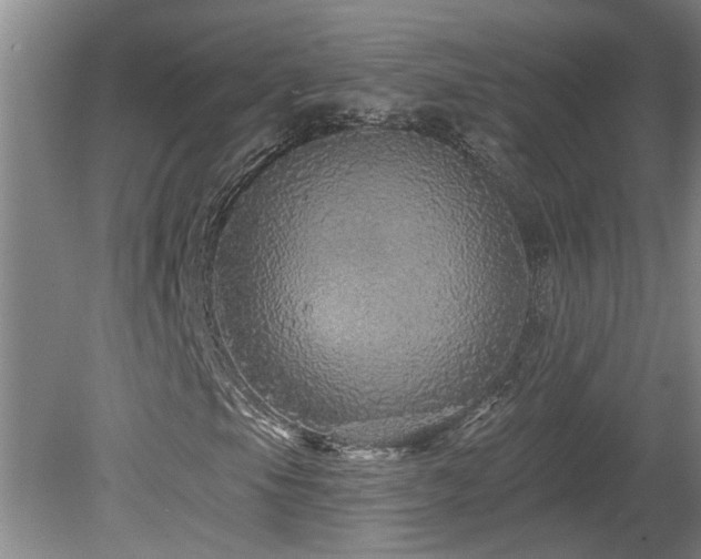 X0000078871105200611131209