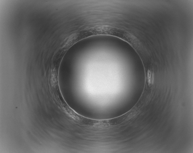 X0000078871107200611131209