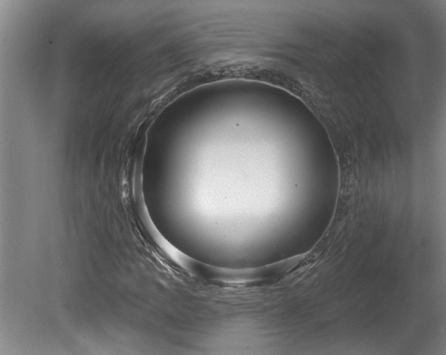 X0000078871109200611131210