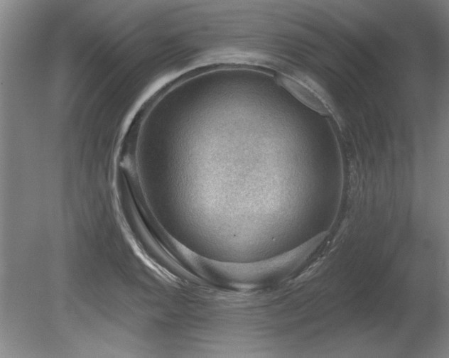 X0000078871128200611131210