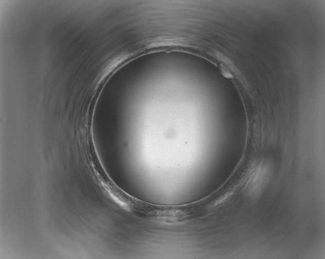 X0000078871129200611131210