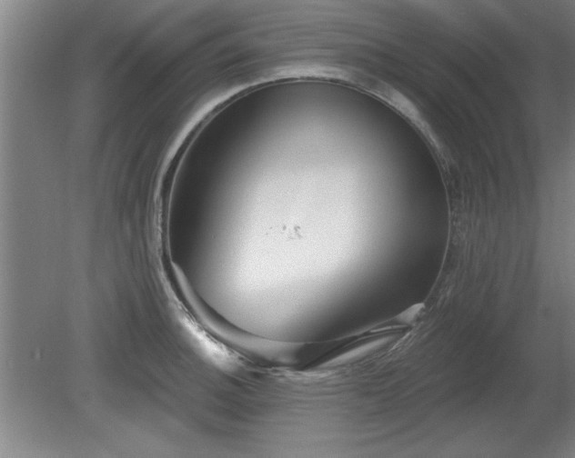 X0000078871140200611131210