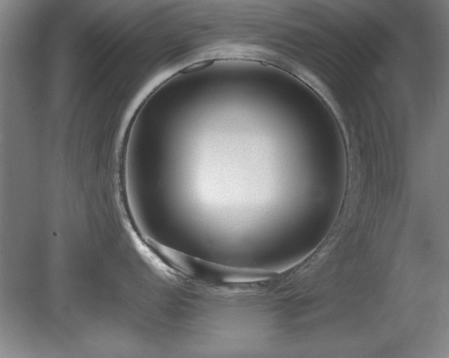 X0000078871152200611131210