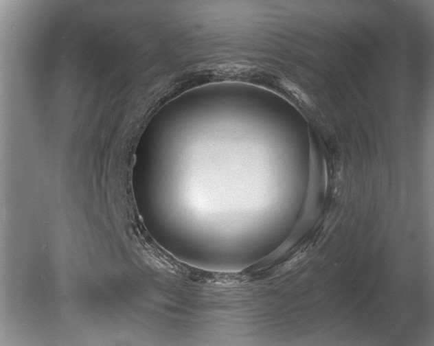 X0000078871153200611131209