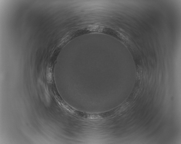X0000078871154200611131209