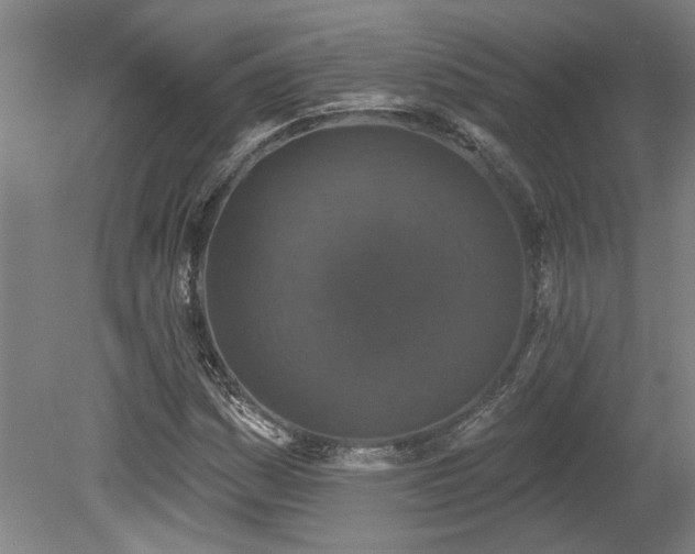 X0000078871161200611131209