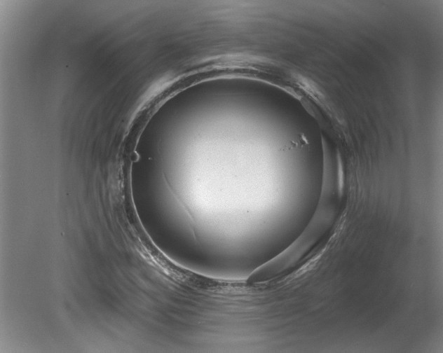 X0000078871164200611131209