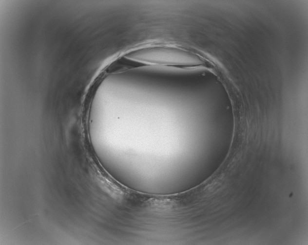 X0000078871168200611131209