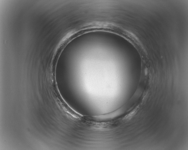 X0000078871172200611131209