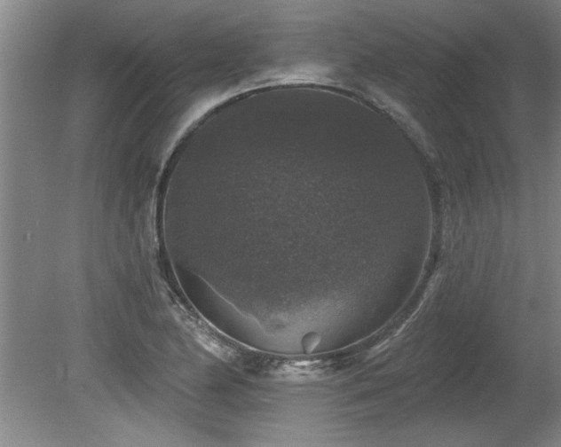 X0000078871174200611131209