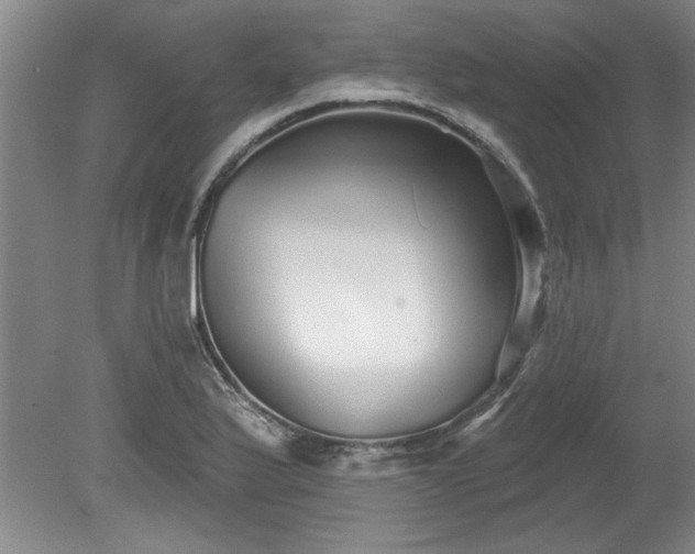X0000078871175200611131209