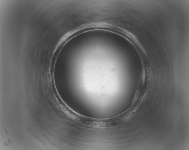X0000078871176200611131209
