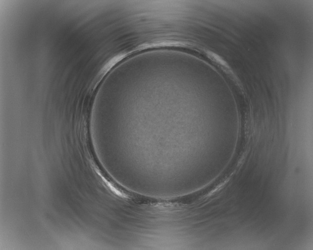 X0000078871177200611131209