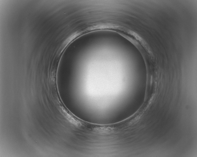 X0000078871185200611131209