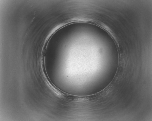X0000078871187200611131209