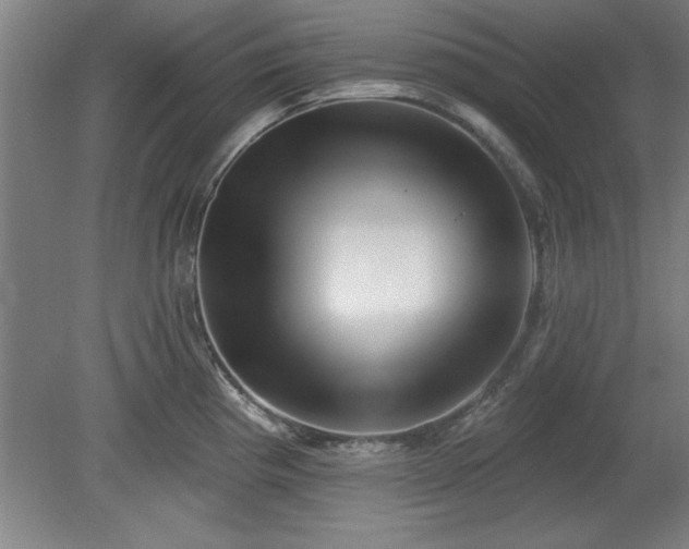 X0000078871193200611131209