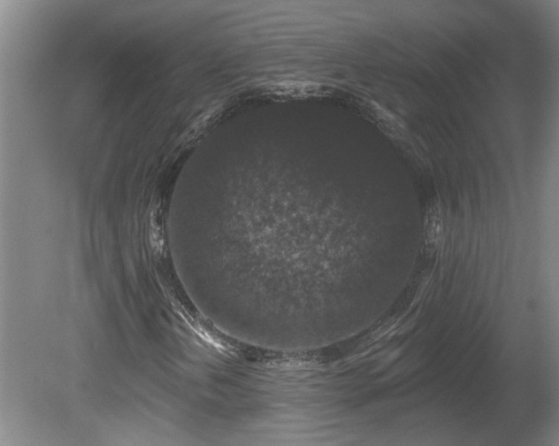 X0000078871202200611131208