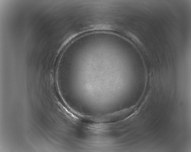 X0000078871212200611131208