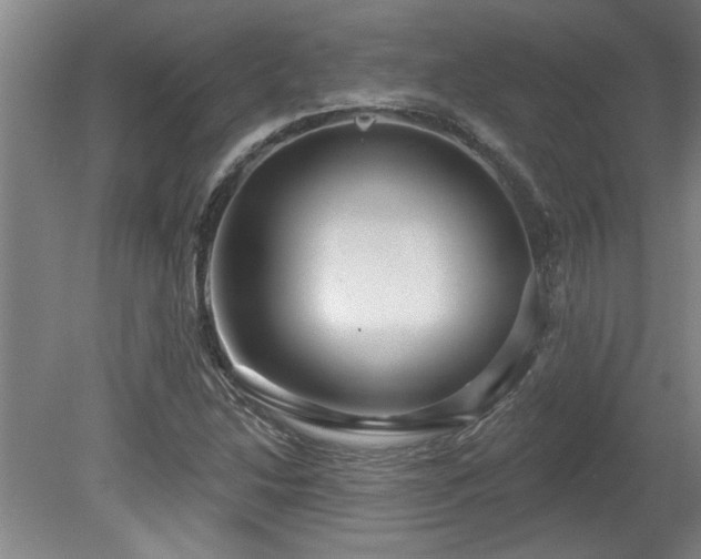 X0000078871214200611131208