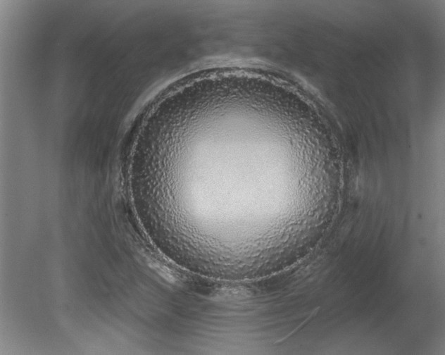 X0000078871215200611131208