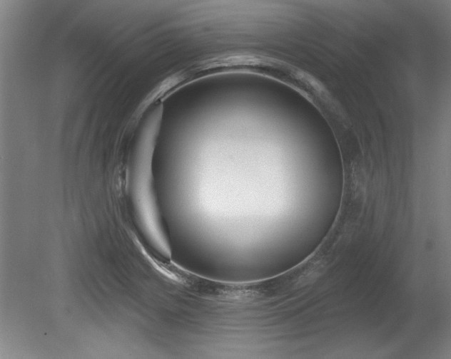 X0000078871225200611131208