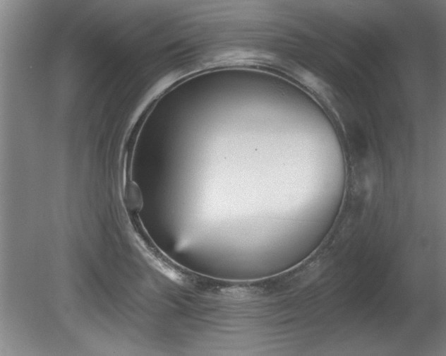X0000078871227200611131208