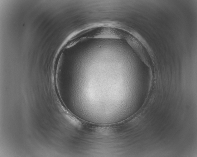 X0000078871232200611131208