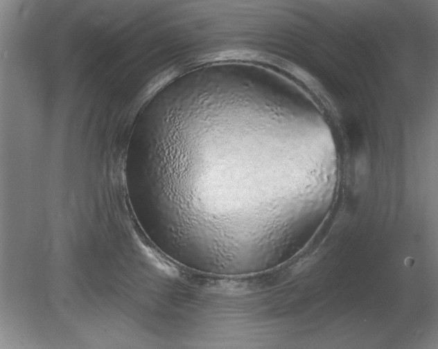 X0000078871241200611131208