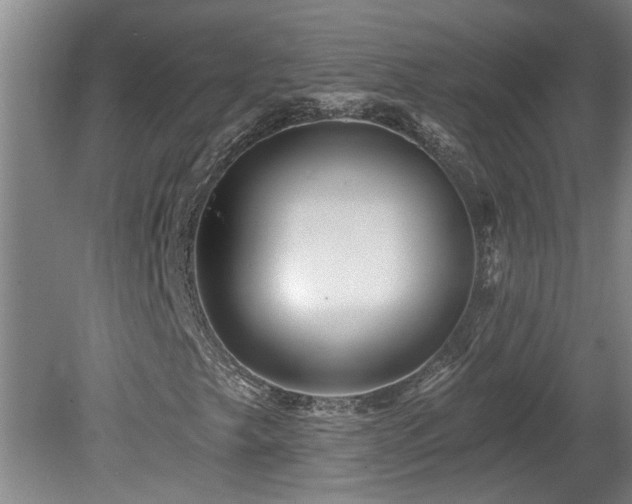 X0000078871249200611131208