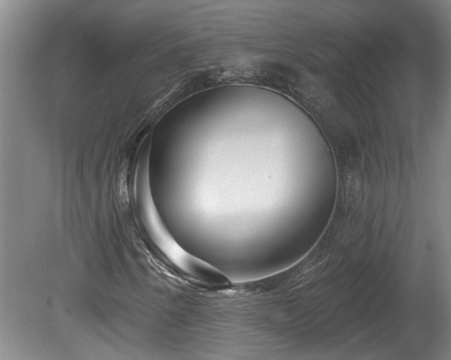 X0000078871250200611131208