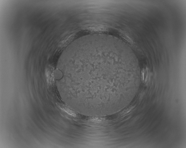 X0000078871251200611131208