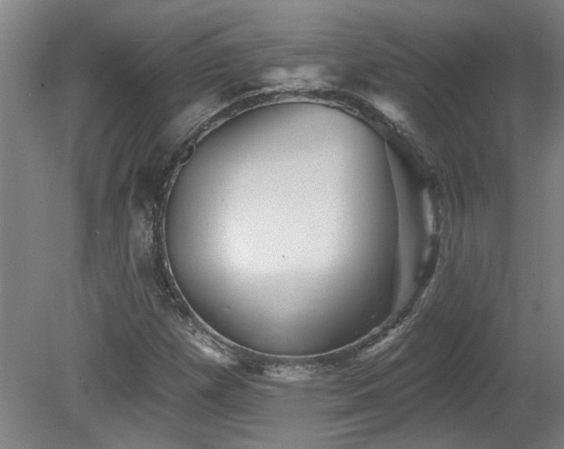 X0000078871257200611131208