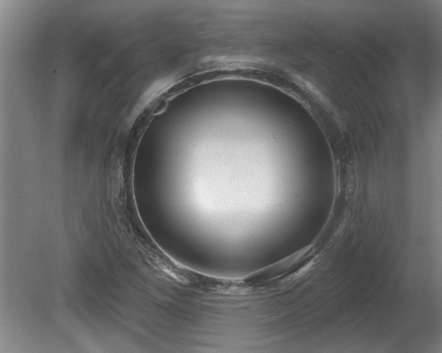 X0000078871261200611131208