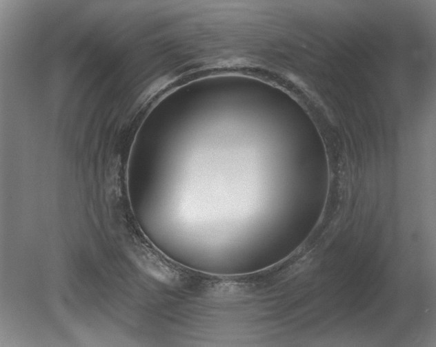 X0000078871265200611131208