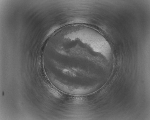 X0000078871266200611131208