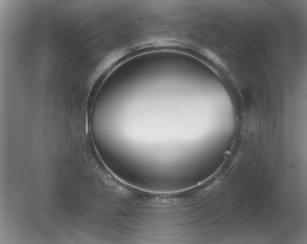 X0000078871269200611131207