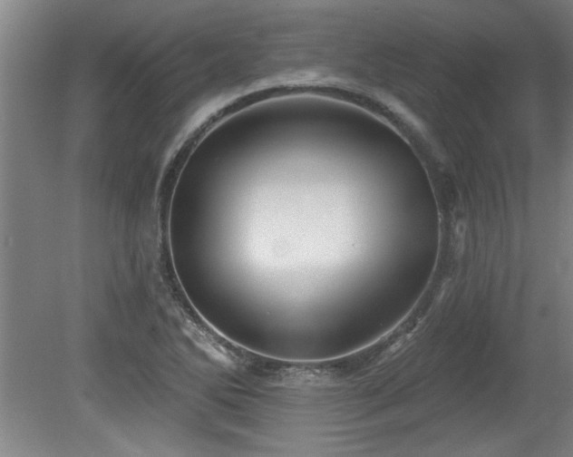 X0000078871270200611131207