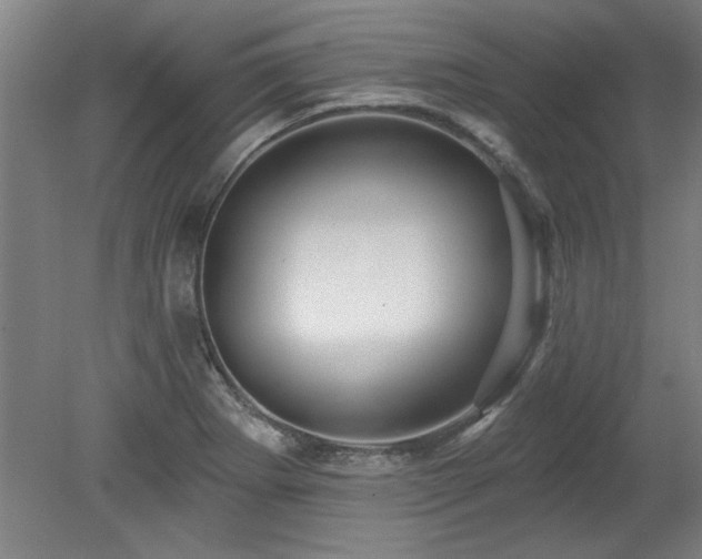 X0000078871273200611131207